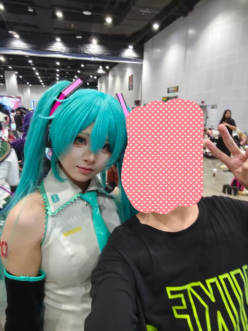 漫展,二次元,东方project,术力口,初音未来,镜音双子,特摄,奥特曼,Minecraft,痛车