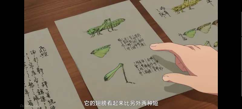 药屋少女的呢喃,药师少女的独语,动画,动漫,番剧,日漫,二次元,ACG