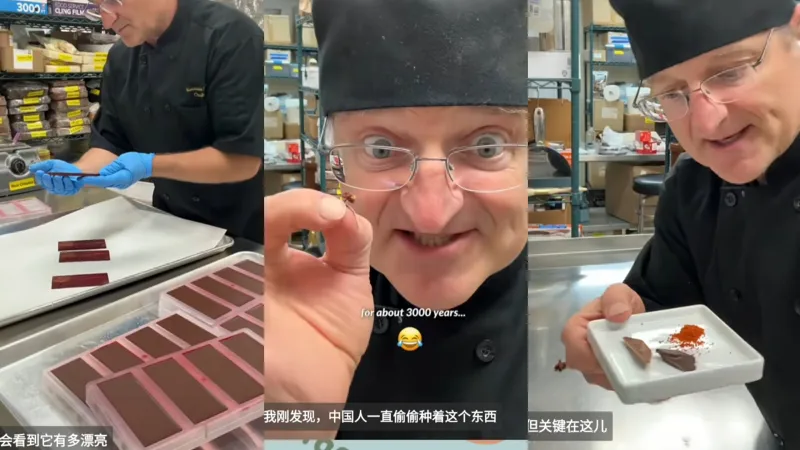 【tiktok】新奇，老外用中国人常用的花椒跟巧克力结合做花椒味巧克力