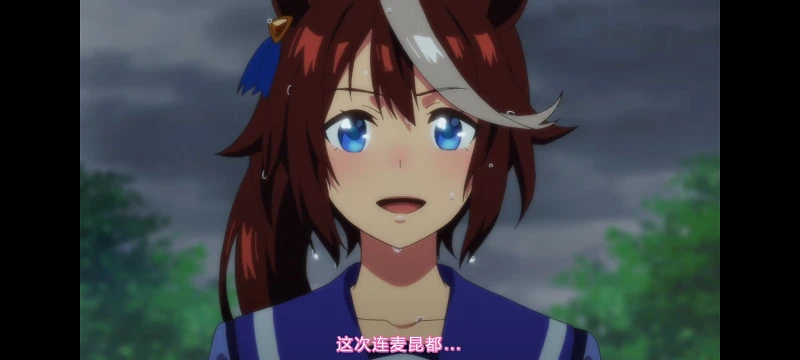 赛马娘,赛马娘第二季,赛马娘PrettyDerby,动画,动漫,番剧,二次元,ACG