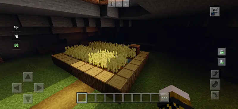 我的世界,Minecraft