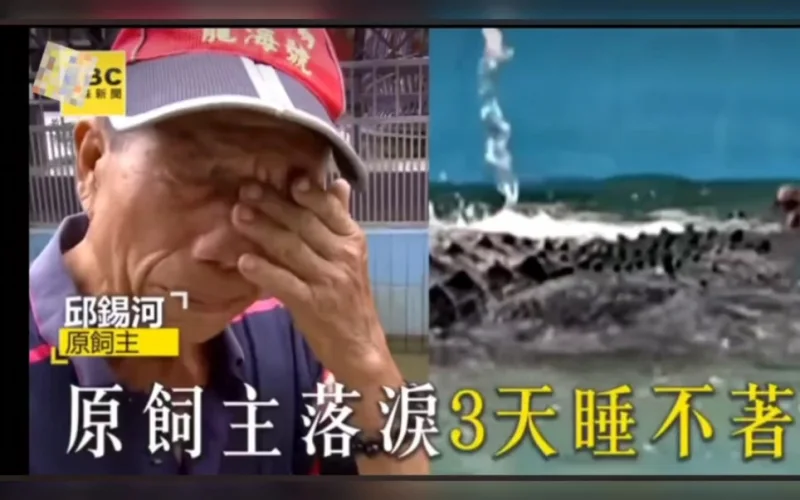 20231027 邱爷爷采访失聲痛哭