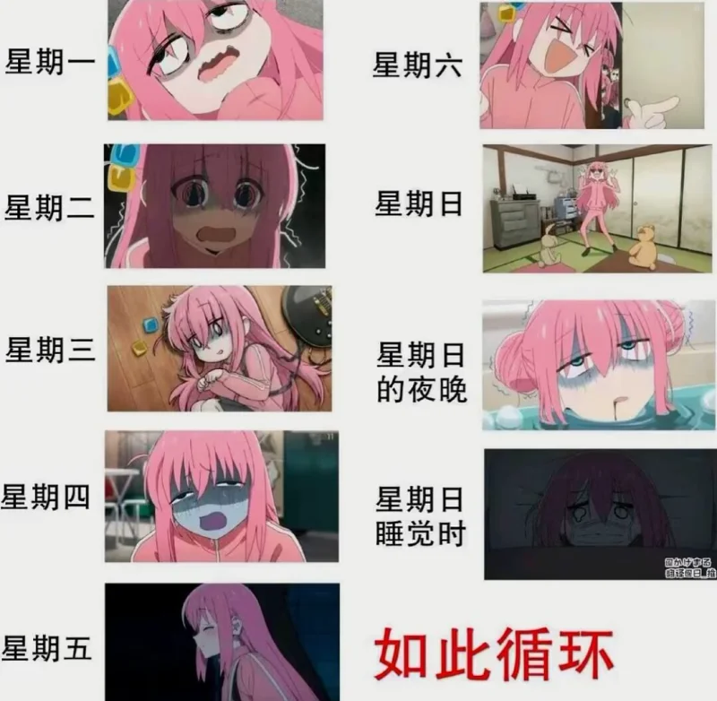 meme,孤独摇滚,循环,动漫,搞笑图片,娱乐