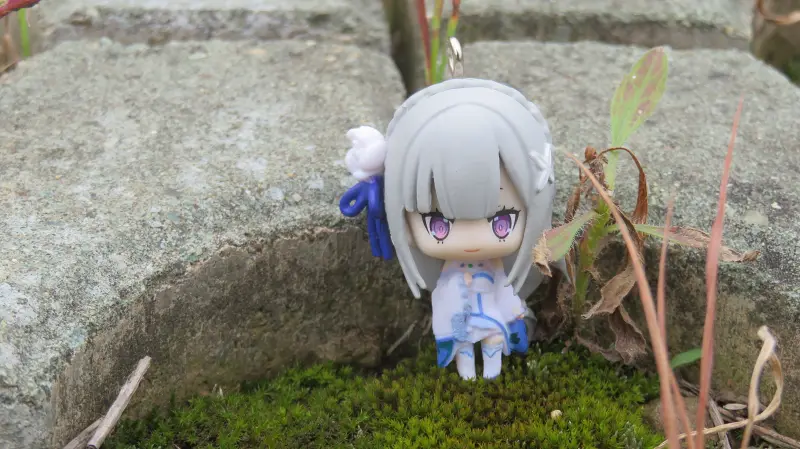 摄影