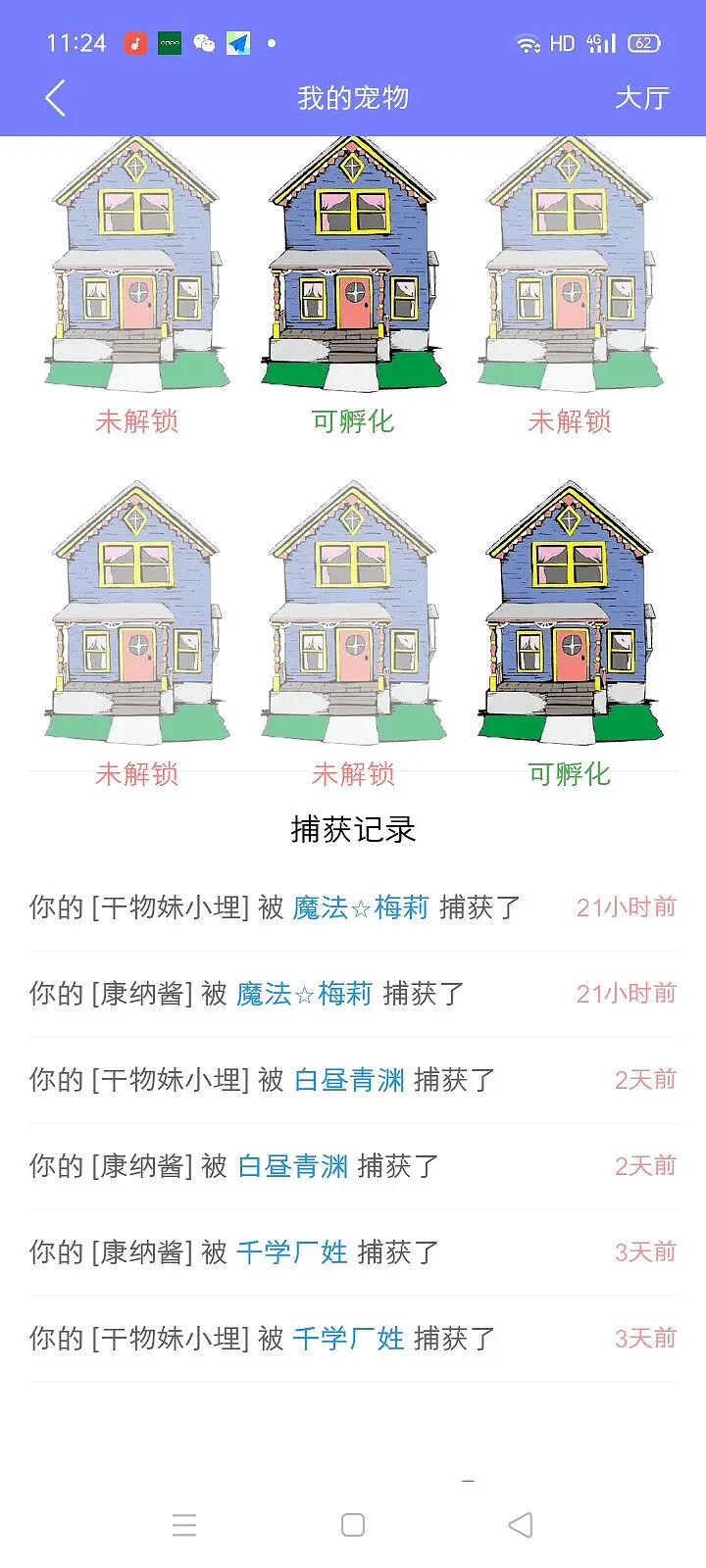 新人报道,新人,宠物