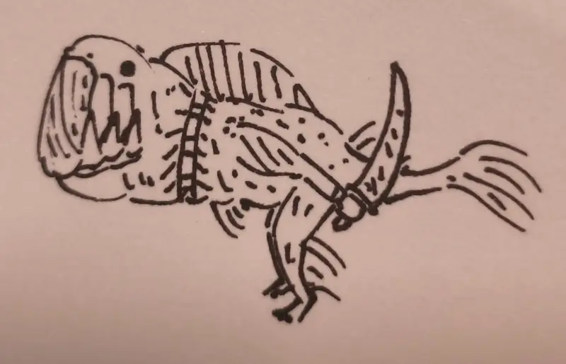 鱼