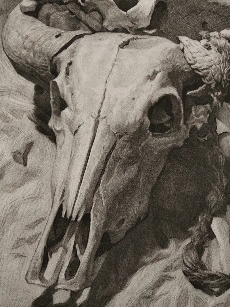 绘画创作,素描,绘画交流
