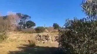 外国抖音