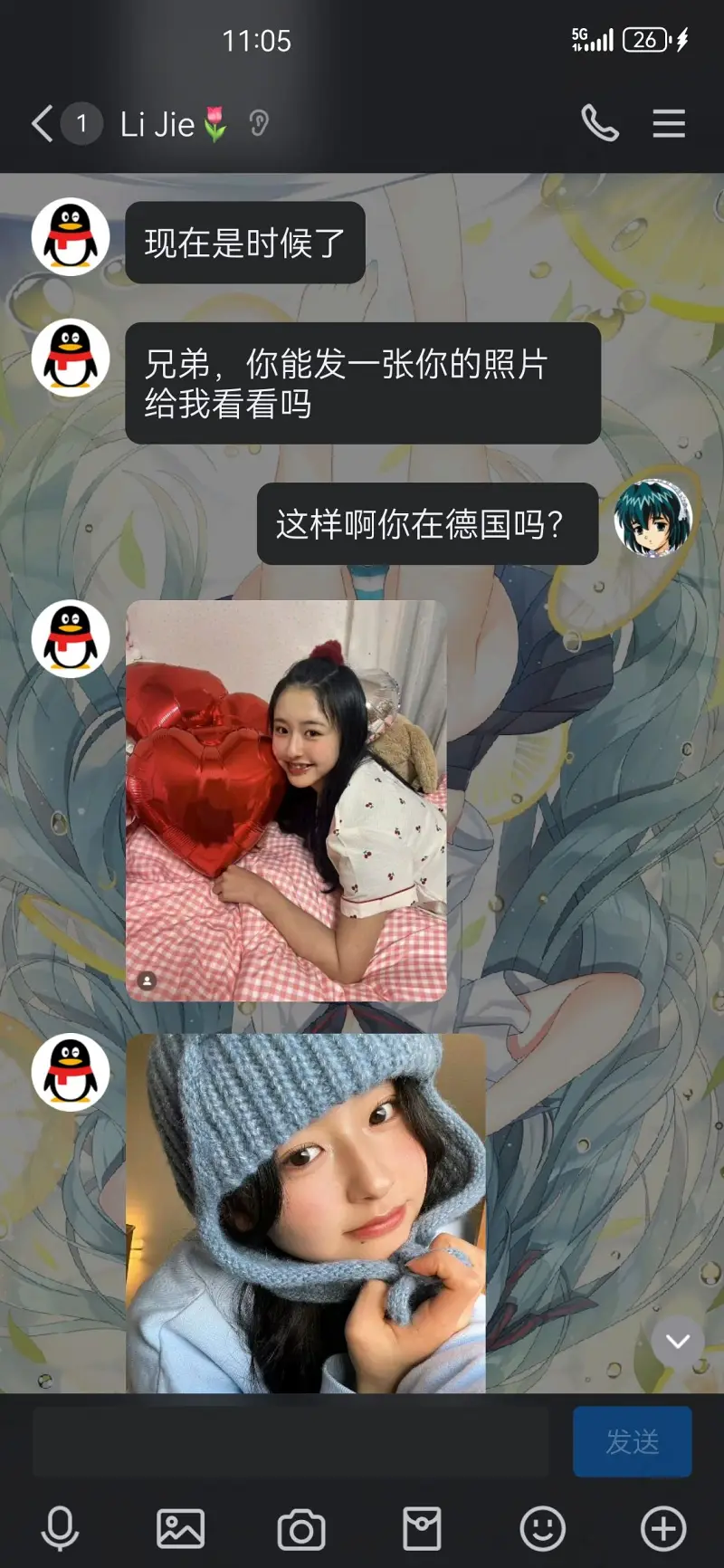 笨蛋,笨蛋笨蛋
