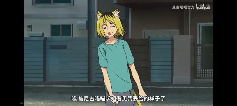 尼古喵喵,雅尼猫,动画,动漫,番剧,ACG,日漫,二次元