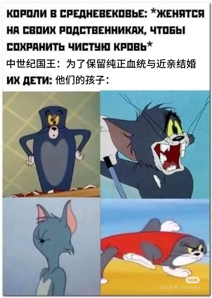 梗图