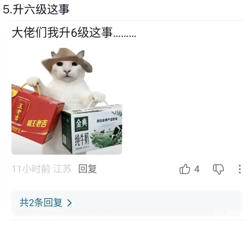 预制评论