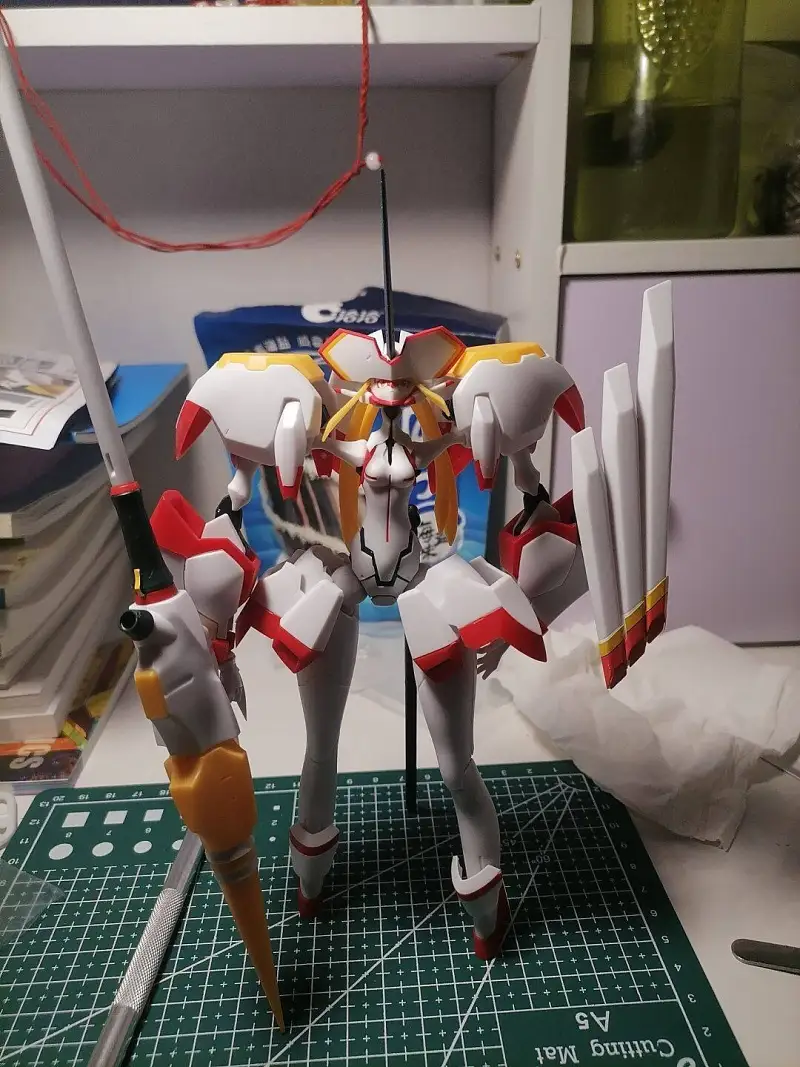gsc鹤望兰