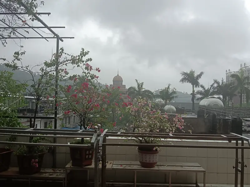 下了一天的大雨