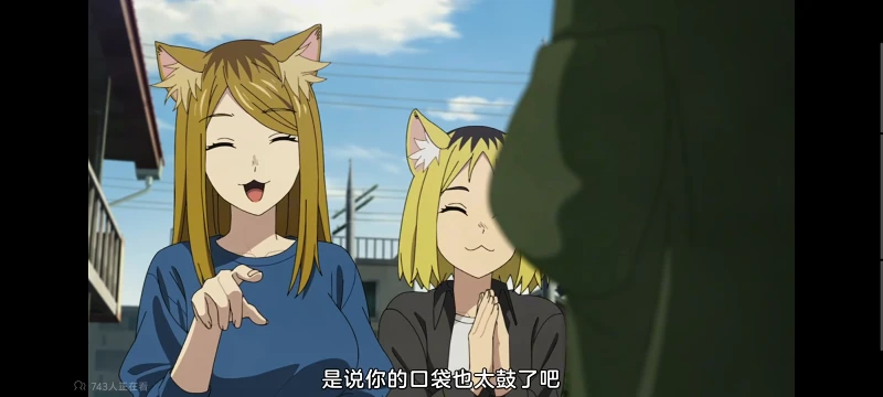 尼古喵喵,雅尼猫,动画,动漫,番剧,二次元,ACG,日漫