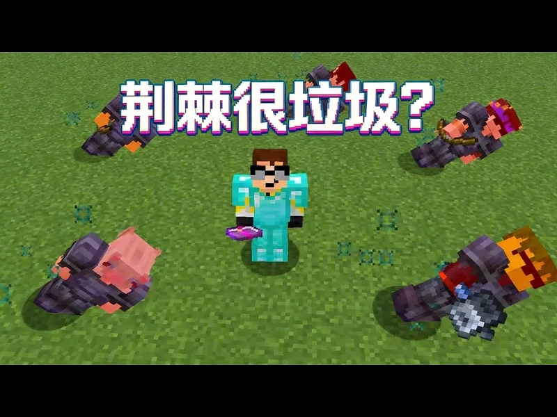 【中配】用荆棘附魔困住全服玩家 - AvengerSpencer KmzsVwda9KM