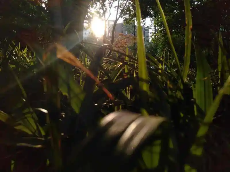 闲聊茶馆,壁纸