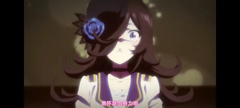 赛马娘,赛马娘第二季,动画,动漫,番剧,二次元,ACG,赛马娘PrettyDerby