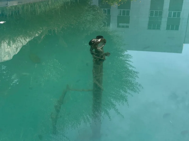 照片