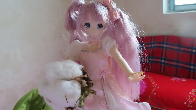 摄影