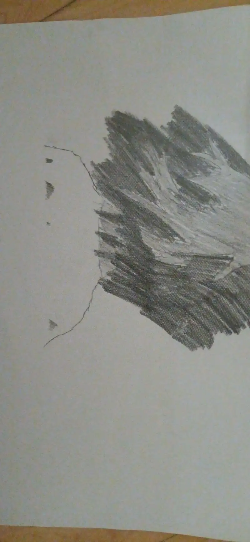 动漫专区,动漫,漫画