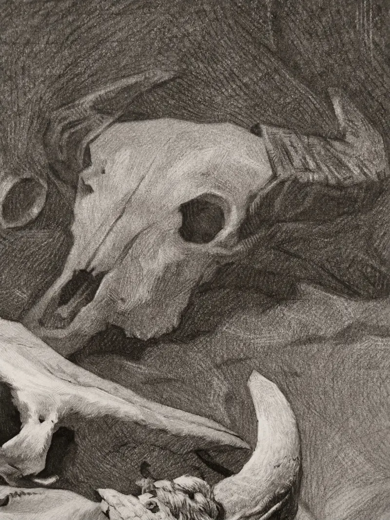 绘画创作,素描,绘画交流