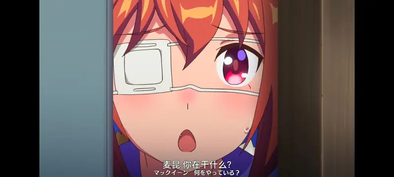 赛马娘,赛马娘PrettyDreby,动画,动漫,番剧,ACG