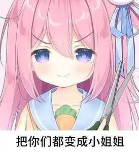 新人报道,新人