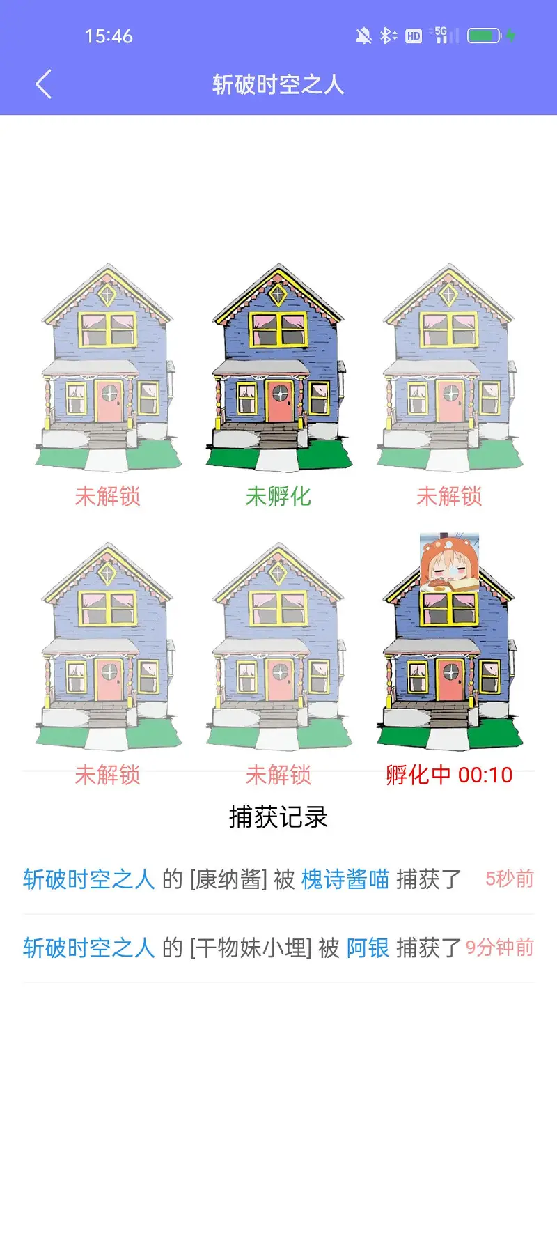 宠物
