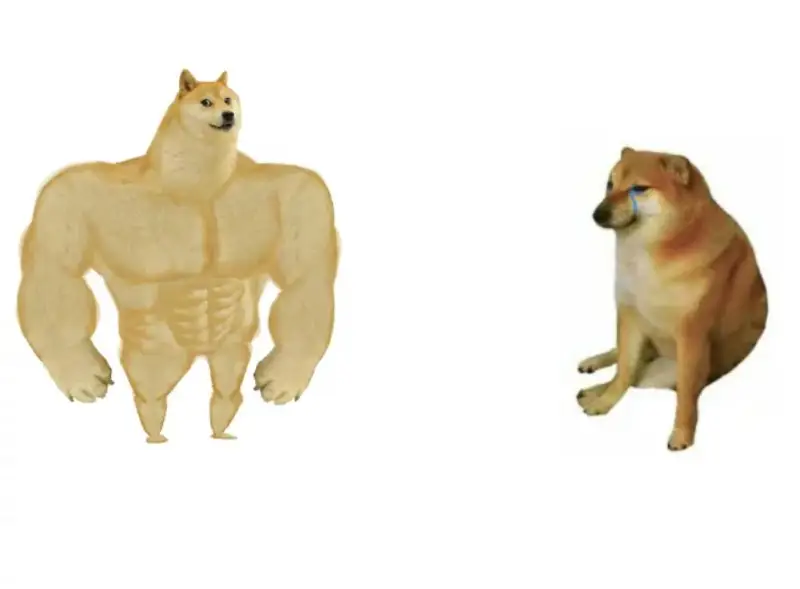 悲报,CHEEMS,柴犬