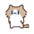 表情包,月薪喵,猫咪表情包,猫meme,哈基米