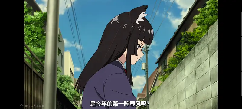 尼古喵喵,雅尼猫,动画,动漫,番剧,日漫,二次元,ACG