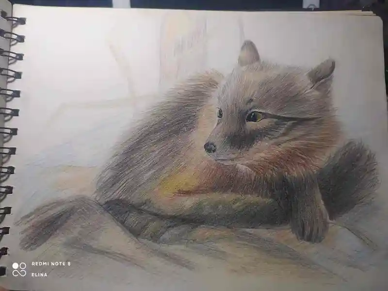 手绘