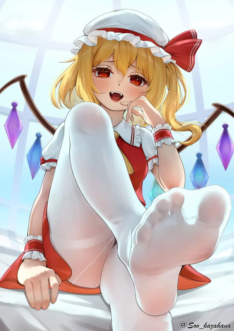 每日喵