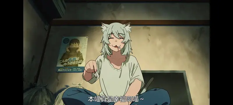 雅尼猫,尼古喵喵,动画,动漫,番剧,二次元,日漫,ACG