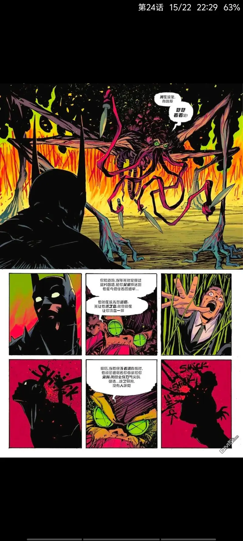 DC,DC漫画,侦探漫画,美漫,漫画,超级英雄,蝙蝠侠,绝对蝙蝠侠,动漫,ACG