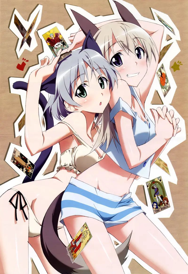 动漫,ACG,二次元,杂志,Nyantype
