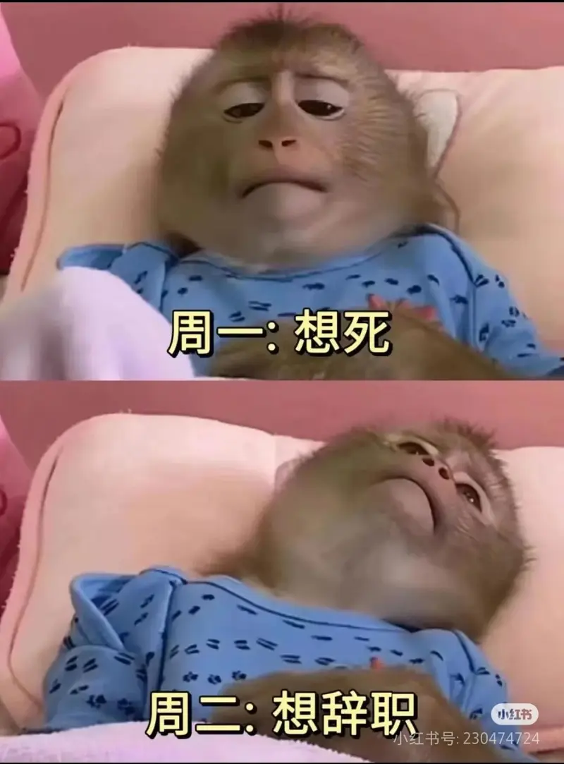 吗喽打工人