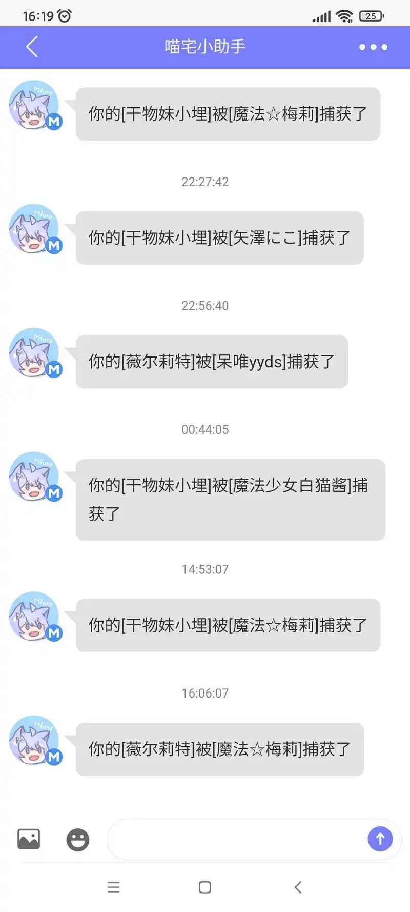 闲聊茶馆,宠物