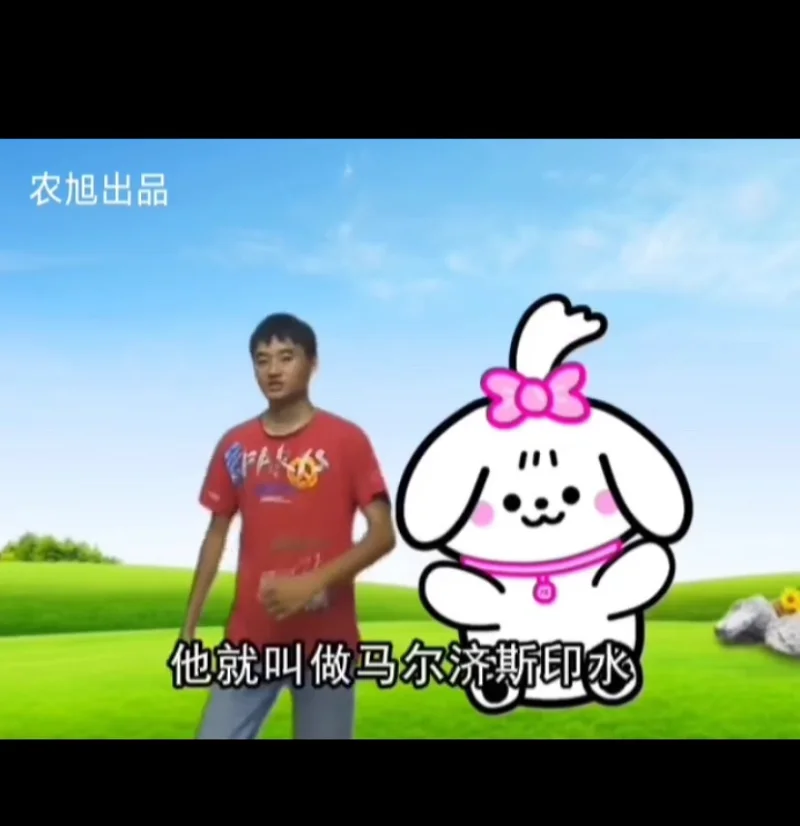 马尔济斯印水之歌-农旭