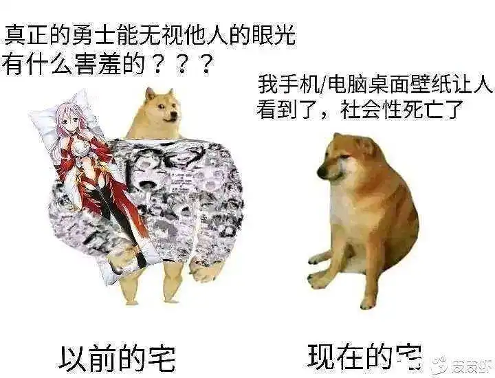 以前的宅和现在的宅区别