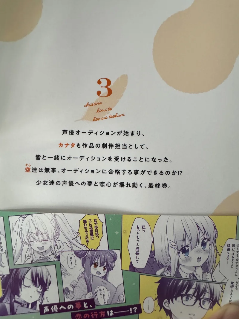 轻小说,漫画化,完结吐槽