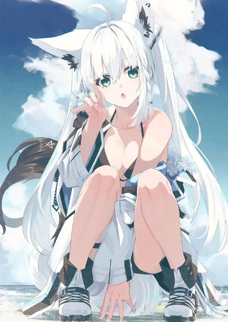 喵御宅,2025