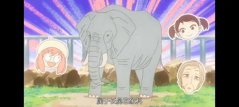 间谍过家家,SPYFAMILY,动画,动漫,番剧,ACG
