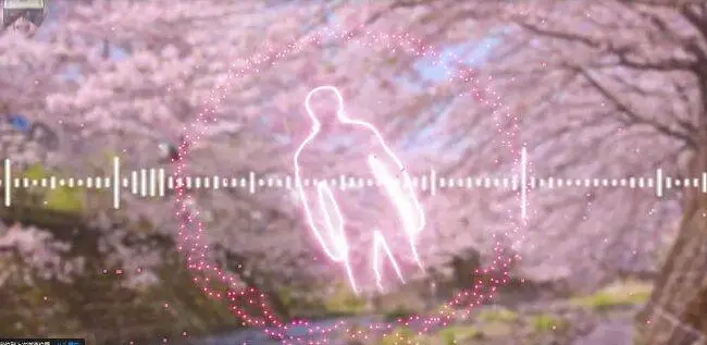 你听过这么伤感的哲学吗？