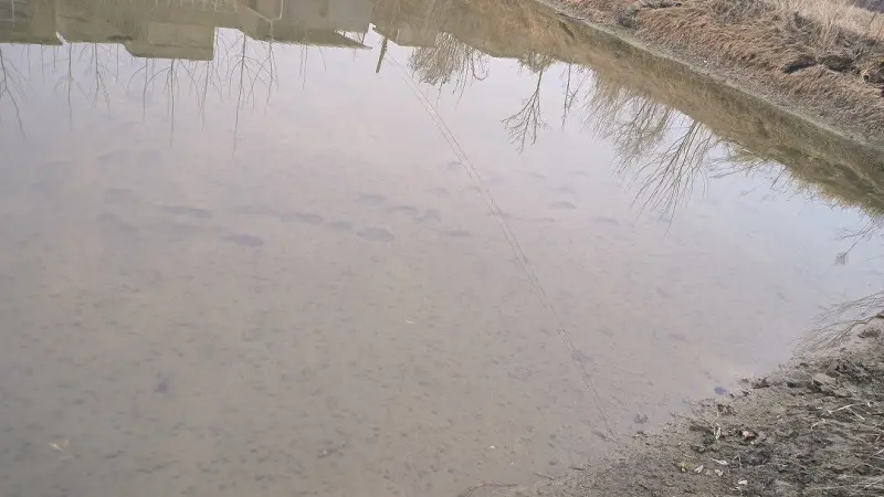 池塘里的电鱼佬脚印
