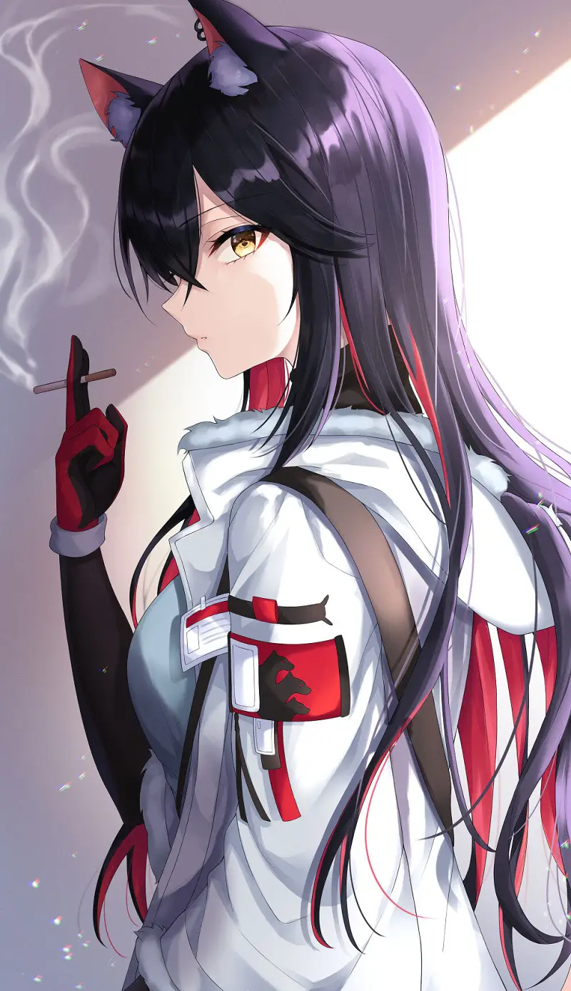 M站美图,壁纸