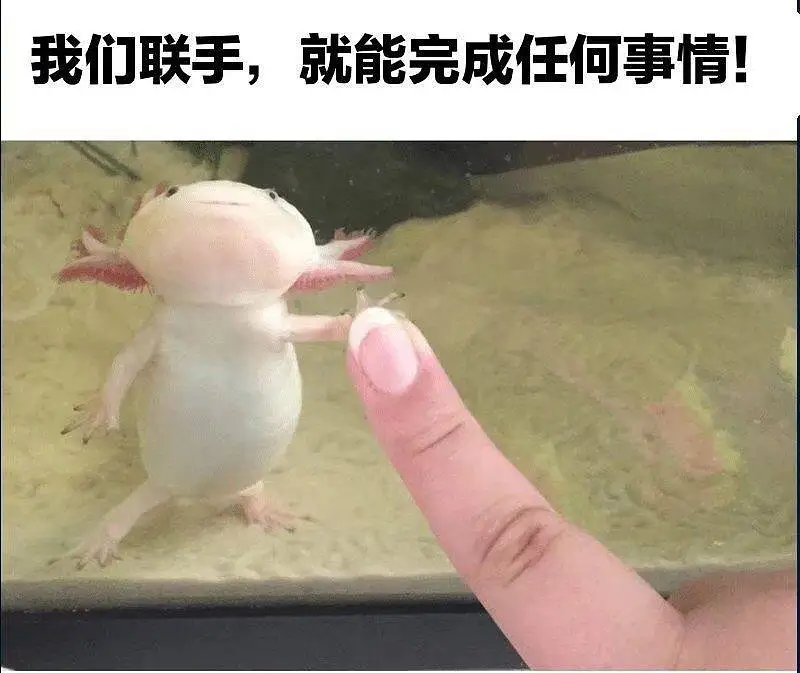 好喜欢这里的氛围啊