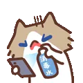 表情包,月薪喵,猫咪表情包,猫meme,哈基米