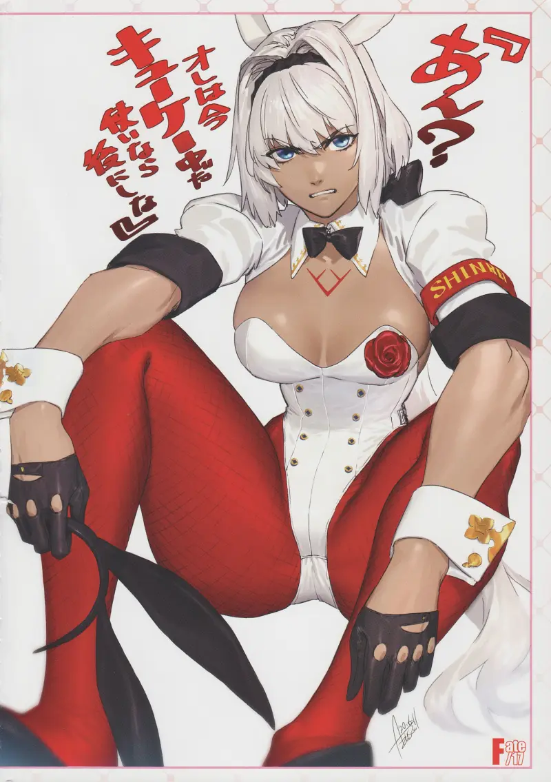同人志,型月,FGO,Fate,命运冠位指定